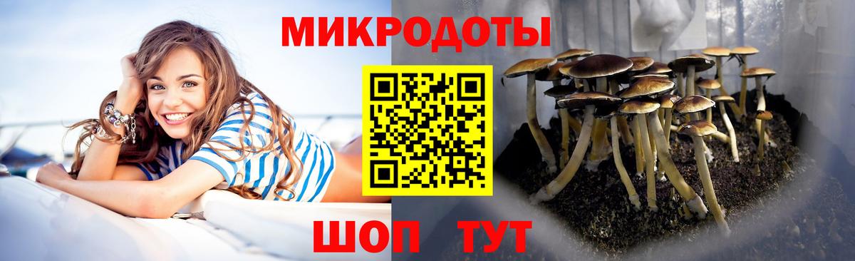 Печора  Псилоцибиновые грибы GOLDEN TEACHER  Вход с VPN 